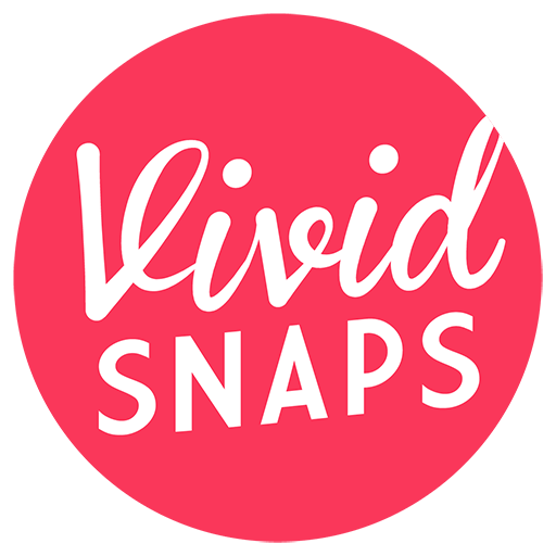 VividSnaps corporate media logo